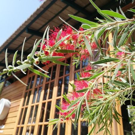 Paiyannoi Guesthome Chiang Mai Exterior foto